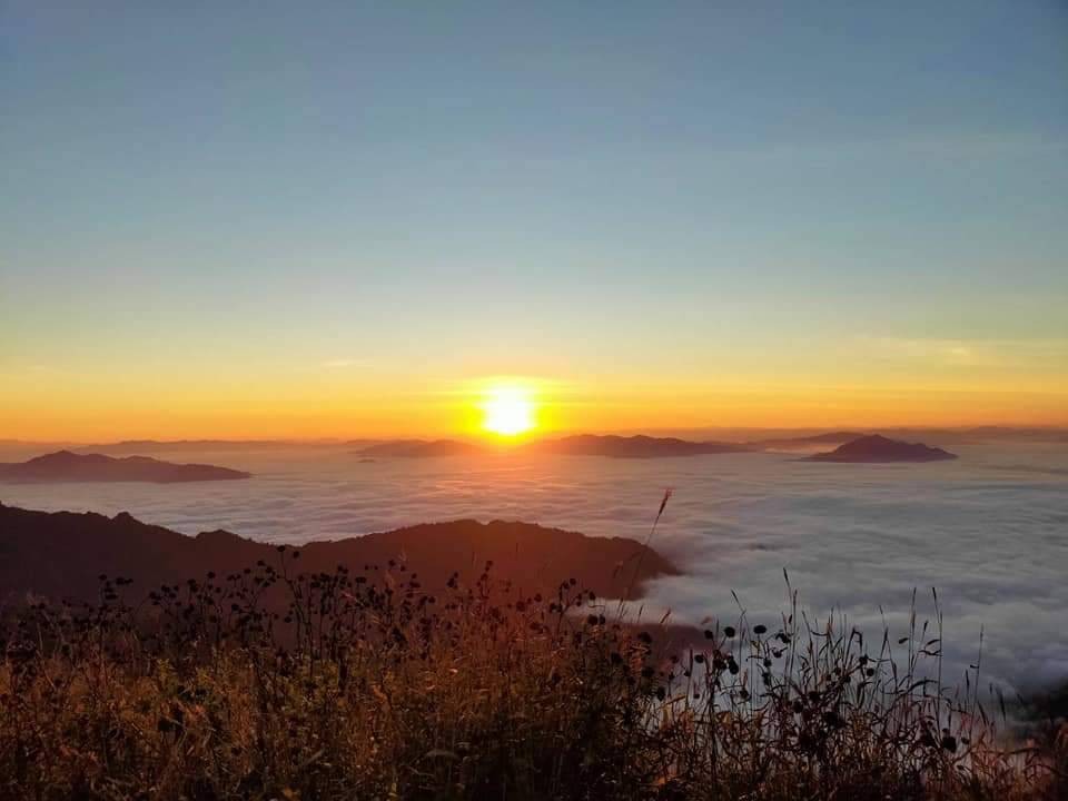 อุทยานแห่งชาติภูชี้ฟ้า