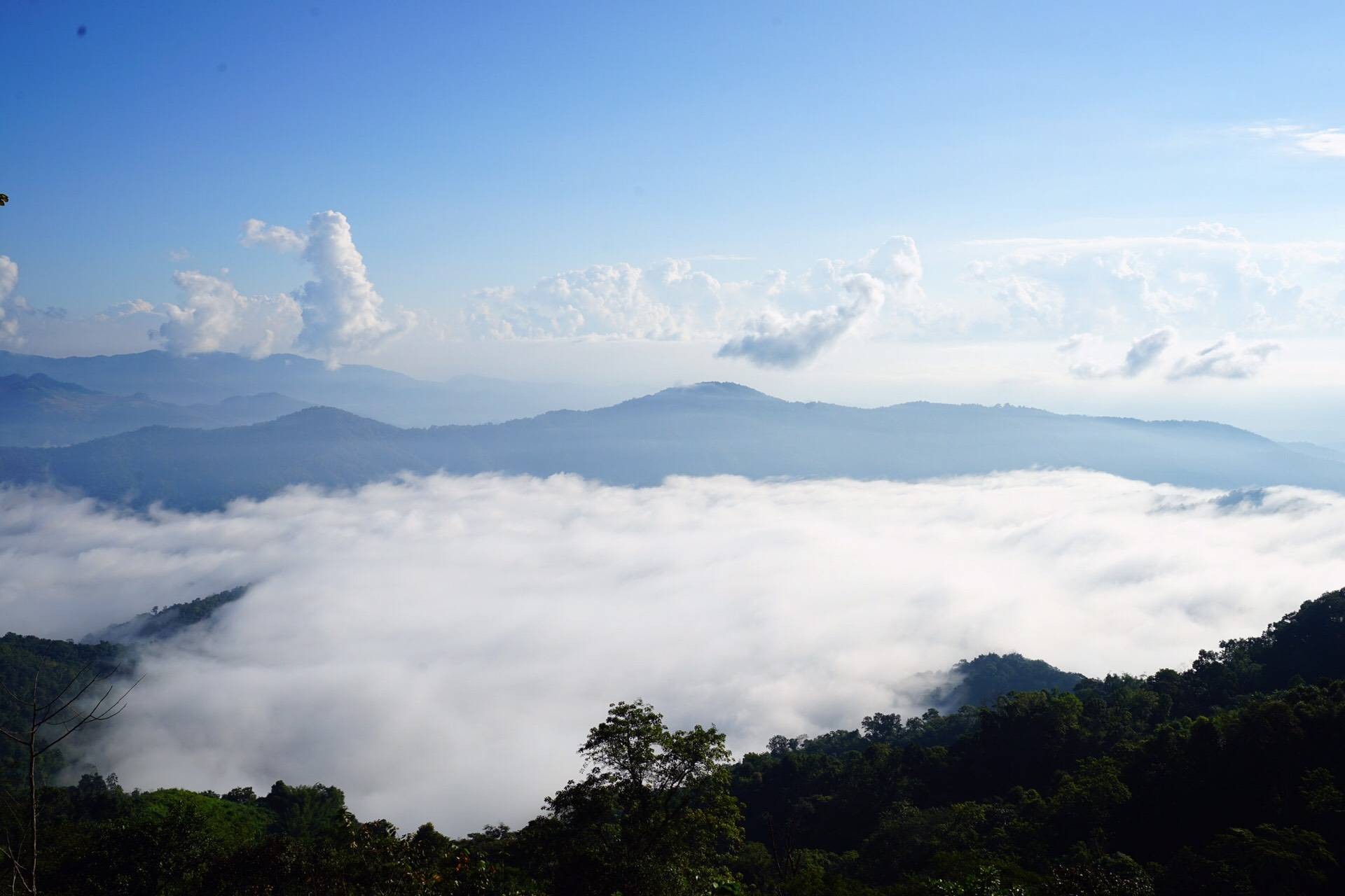 ศูนย์พัฒนาโครงการหลวง ม่อนเงาะ