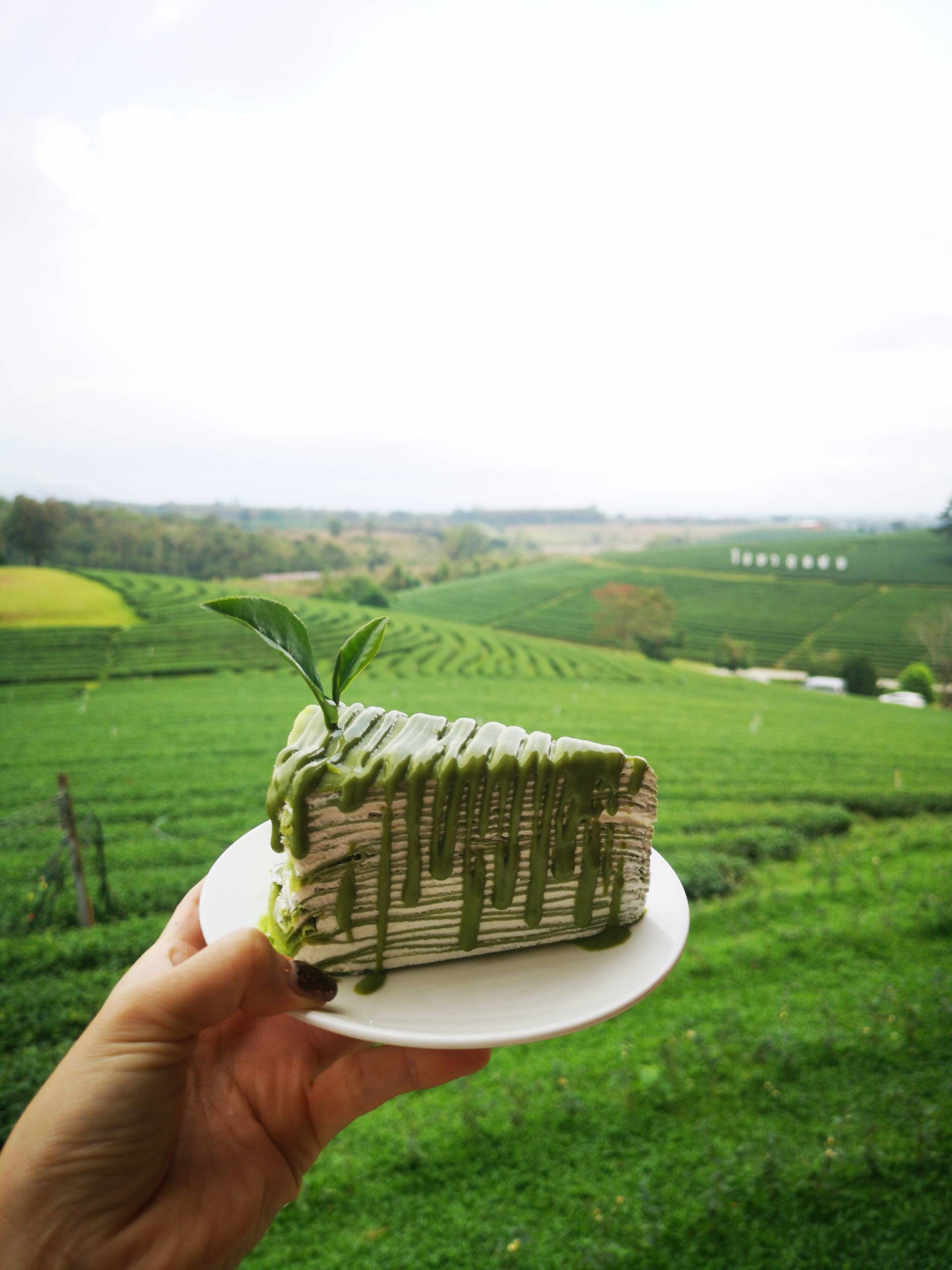 เมนูของร้าน ไร่ชาฉุยฟง แม่จัน เชียงราย