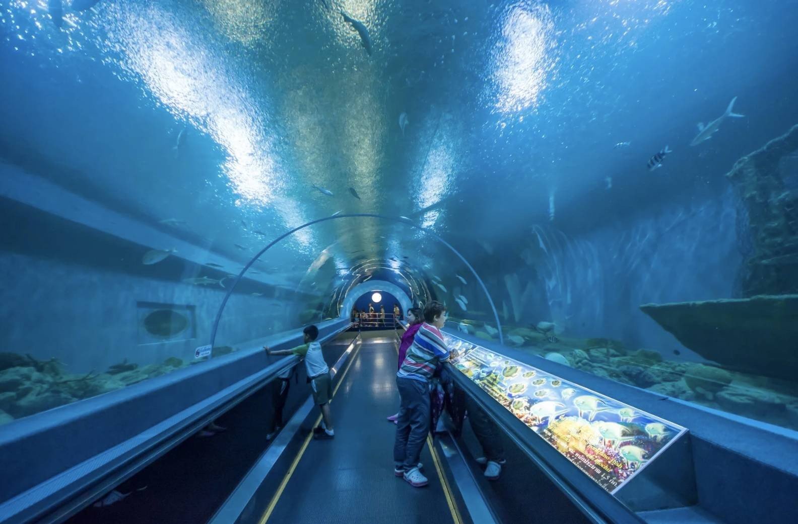 บึงฉวาก