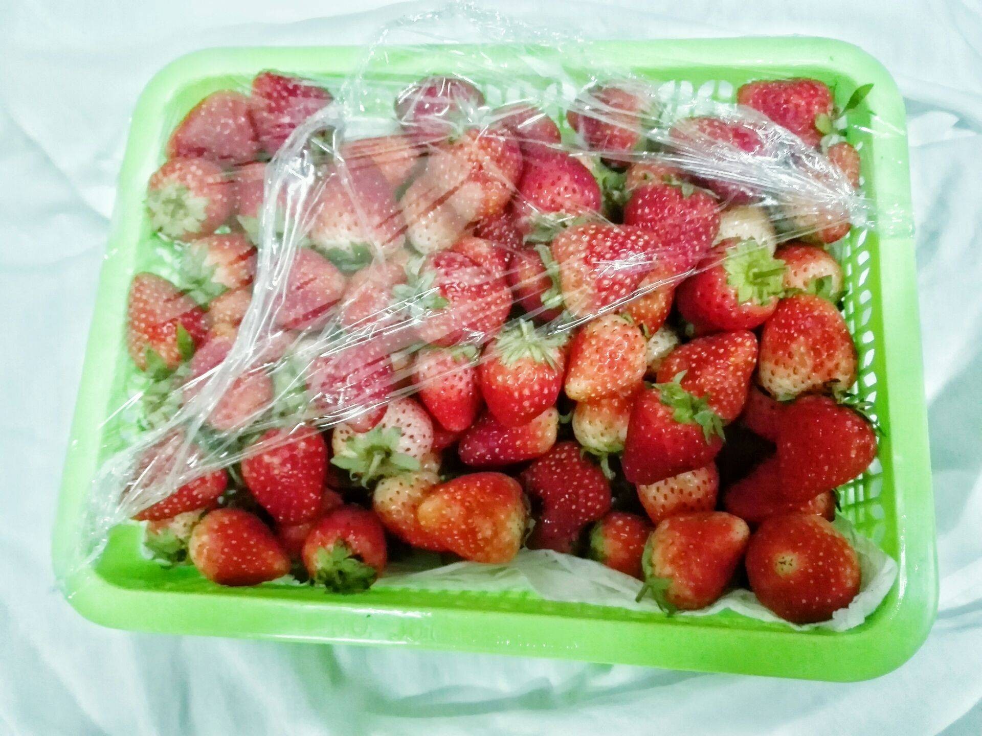🍓 คริสตัลสตอเบอร์รี่ ❄