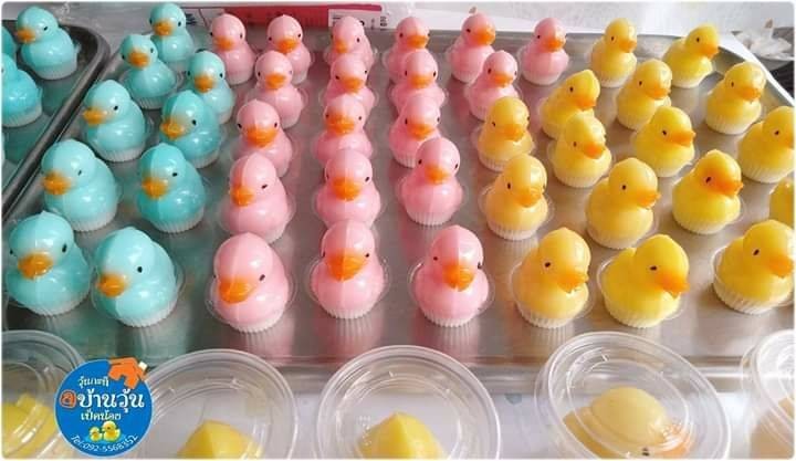 วุ้นกะทิเป็ดน้อย