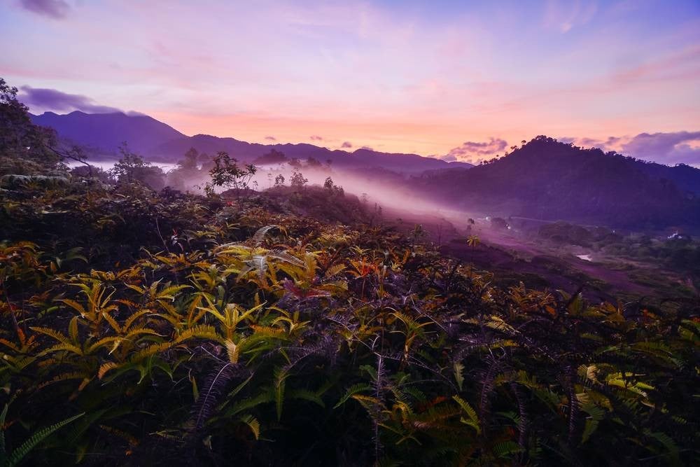 จุดชมทะเลหมอกกรุงชิง