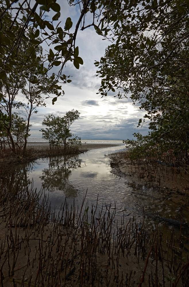 เขตห้ามล่าสัตว์ป่าแหลมตะลุมพุก