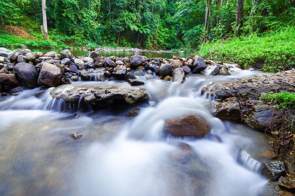 น้ำตกโยง