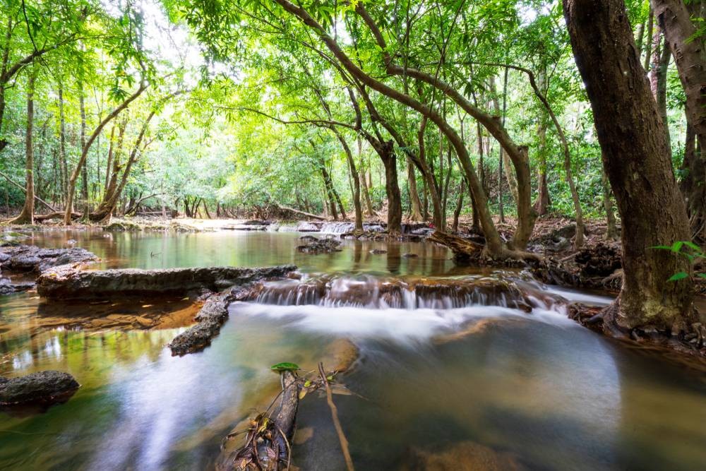 อุทยานแห่งชาติน้ำตกสี่ขีด