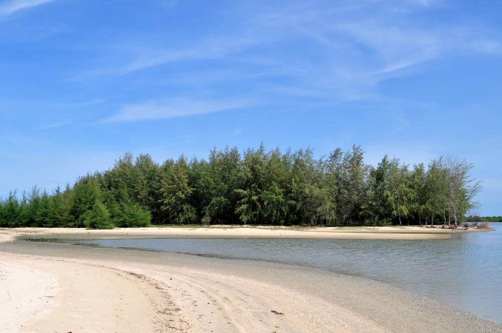 เขตห้ามล่าสัตว์ป่าแหลมตะลุมพุก