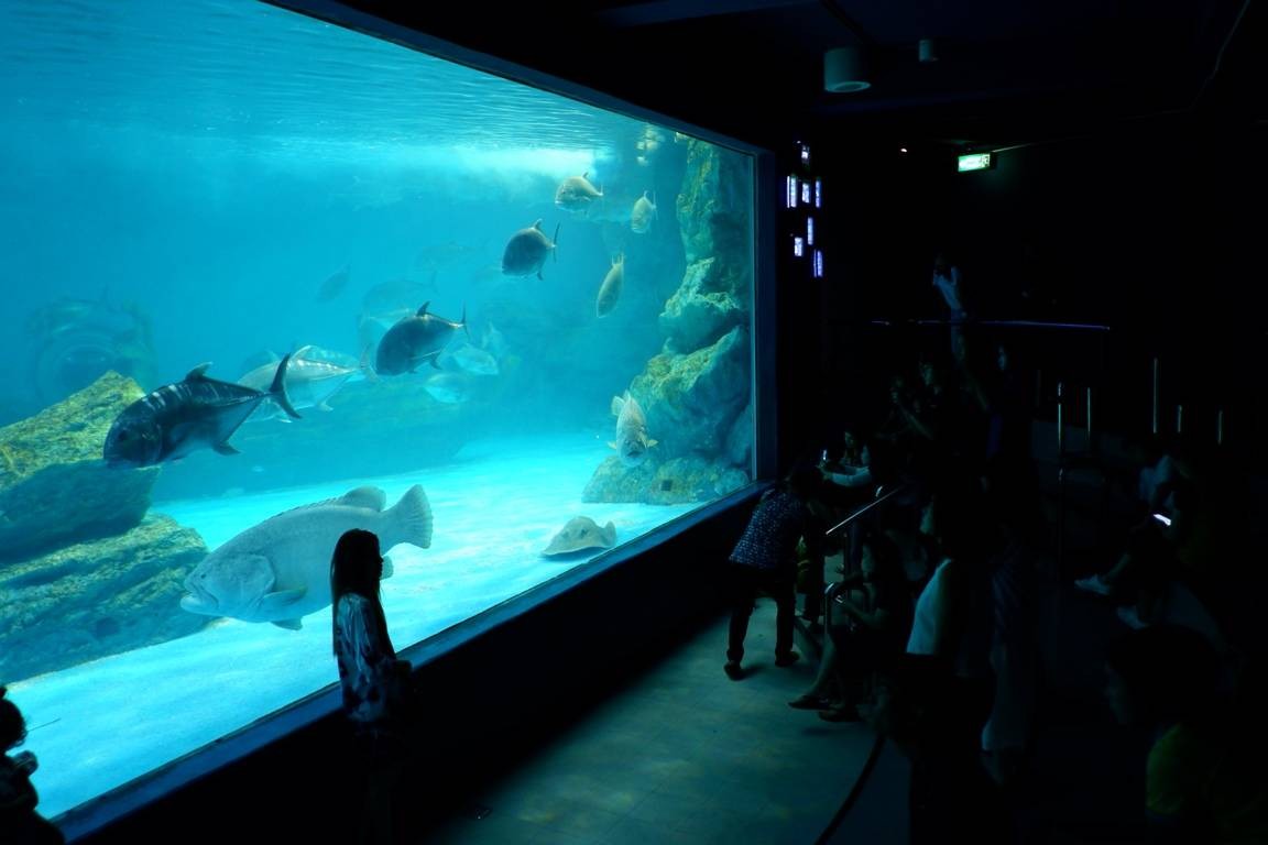 พิพิธภัณฑ์สัตว์น้ำบางแสน