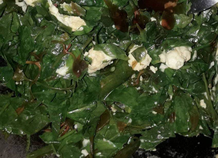 ผักเหรียงผัดไข่