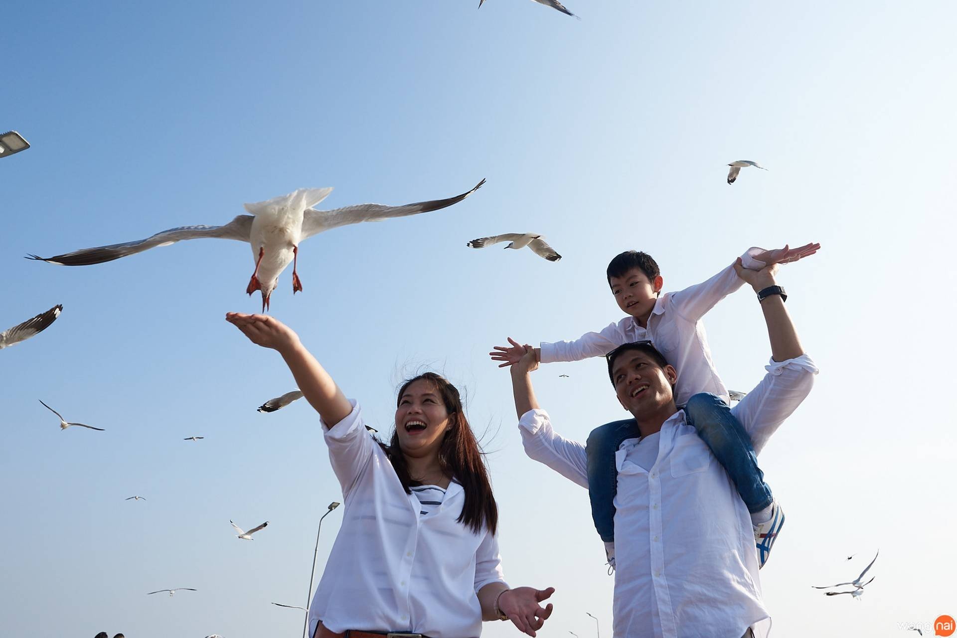 สถานตากอากาศบางปู