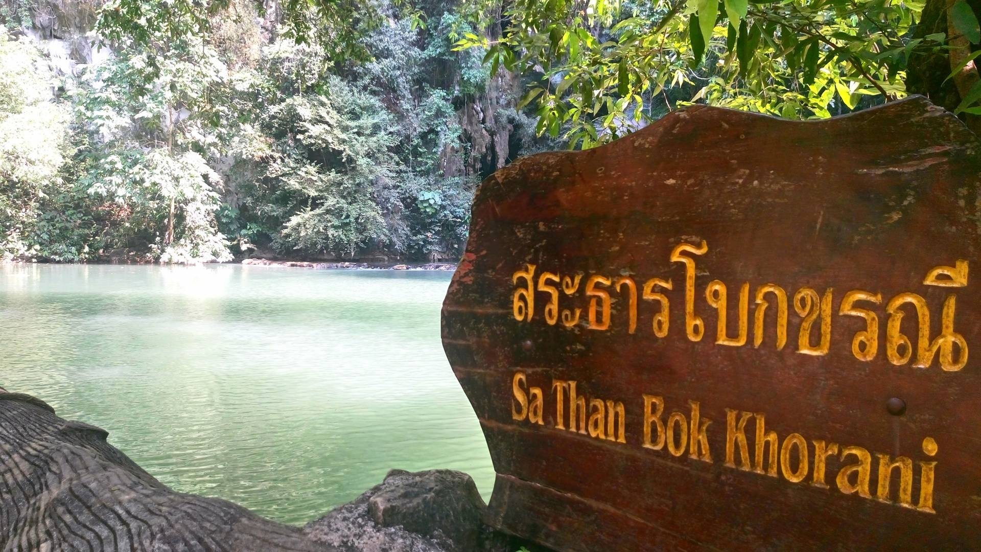 อุทยานแห่งชาติธารโบกขรณี