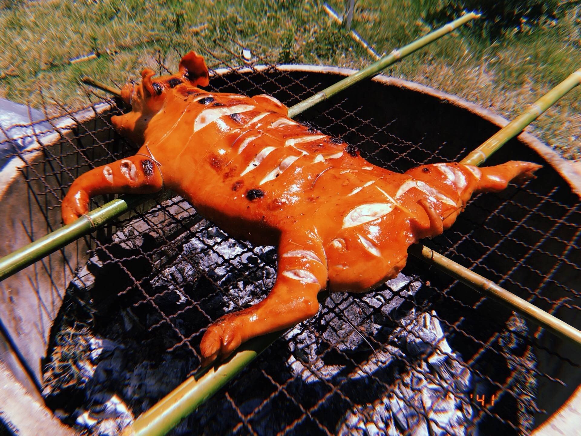 หมูหันบ้านนอก