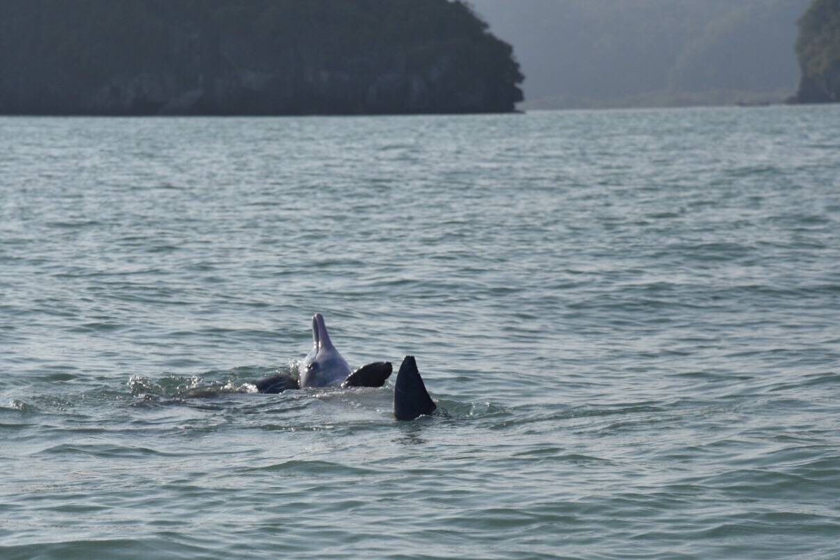 แหลมประทับ