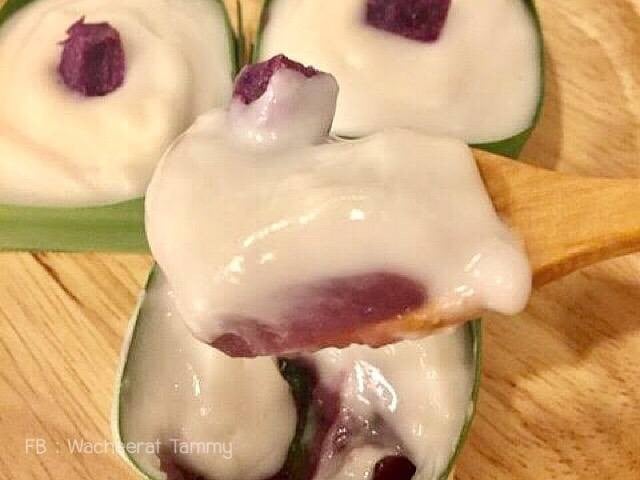 ตะโก้มันม่วง