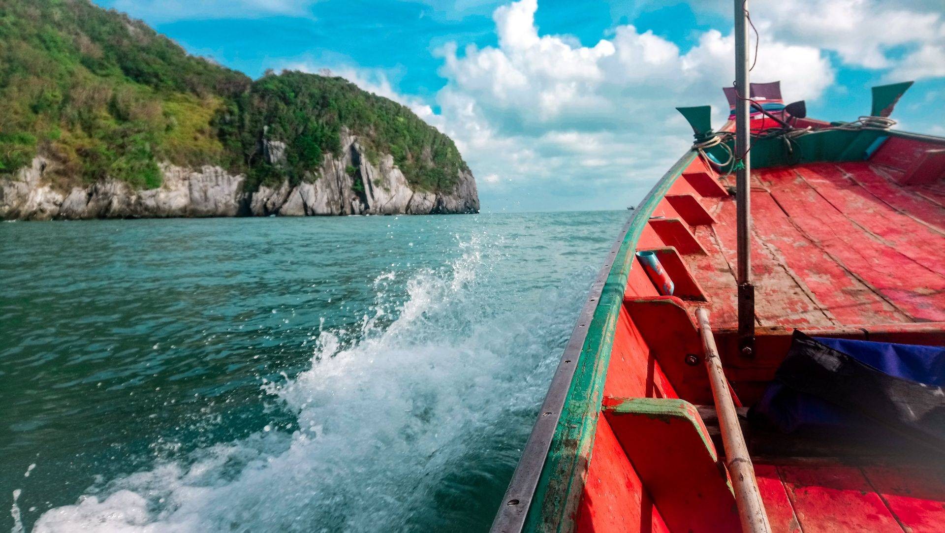 นั่งเรือไปชมโลมา