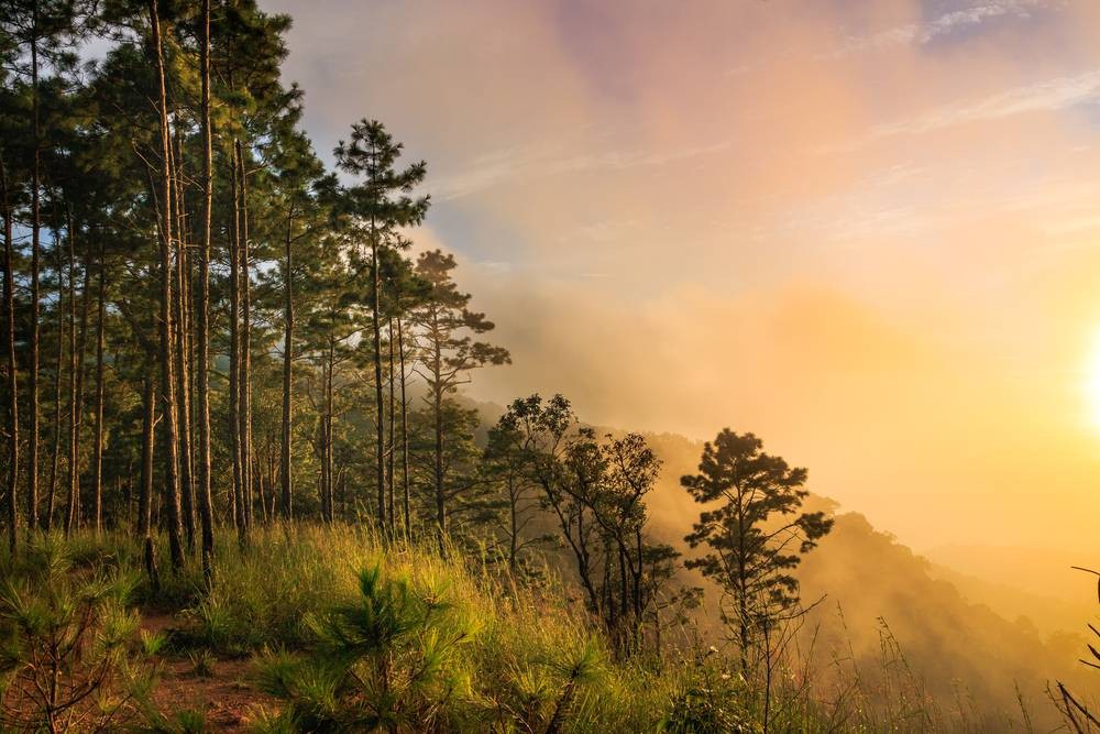 อุทยานแห่งชาติดอยสุเทพ-ปุย