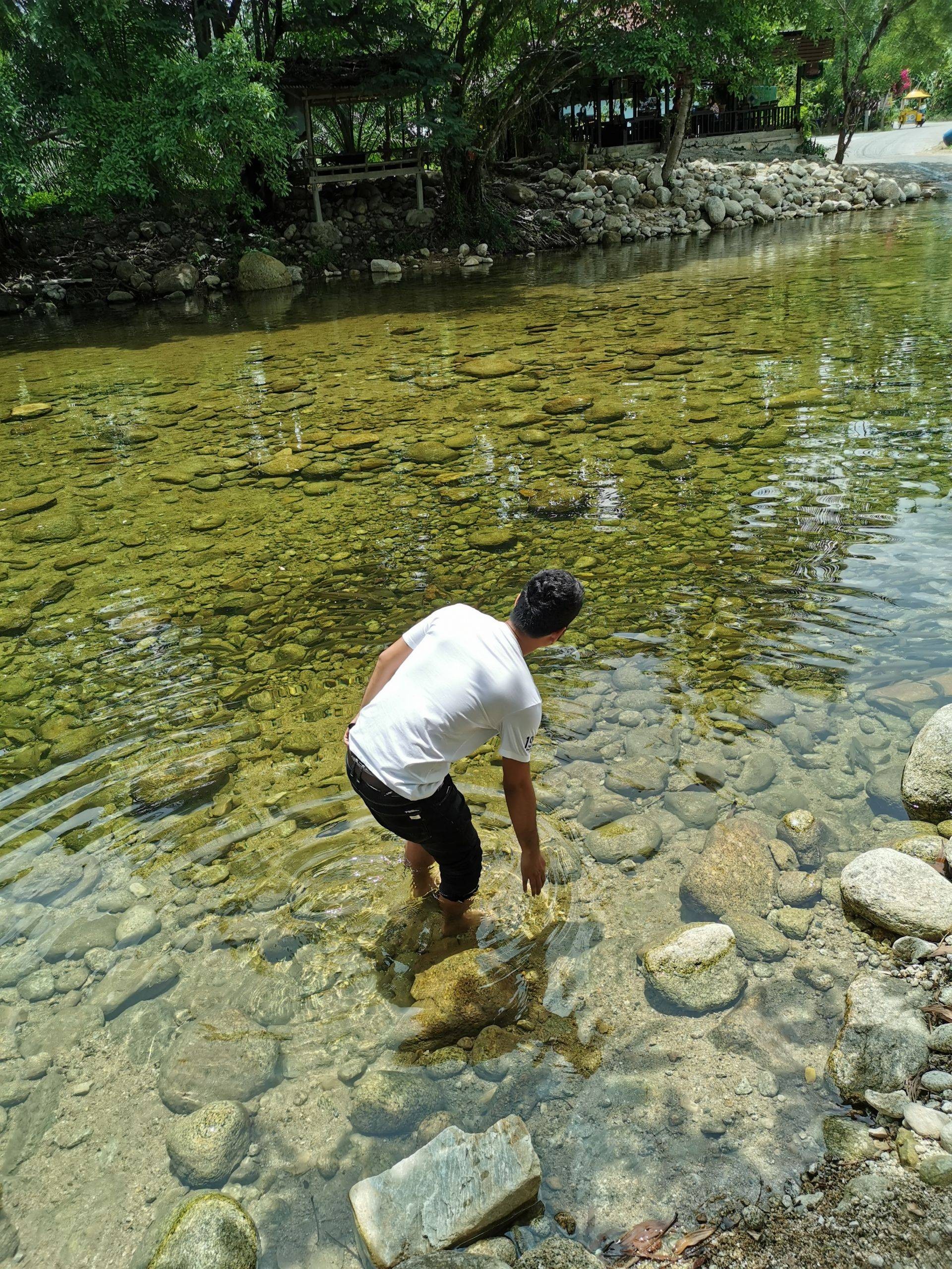 วังปลาแงะ พรหมโลก