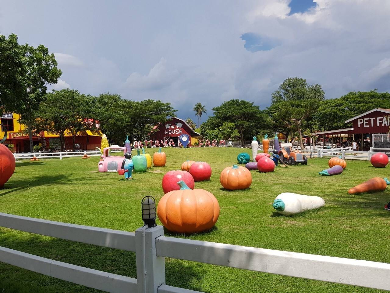 ฟาร์มแกะพัทยา