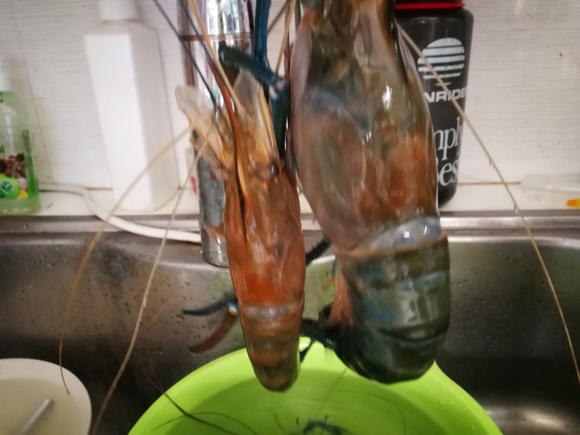 สปาเก็ตตี้ขี้เมาหมูกุ้ง