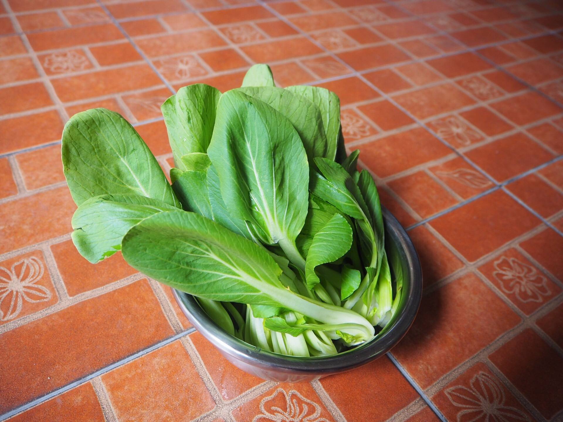 Stir Fried Bok Choy 