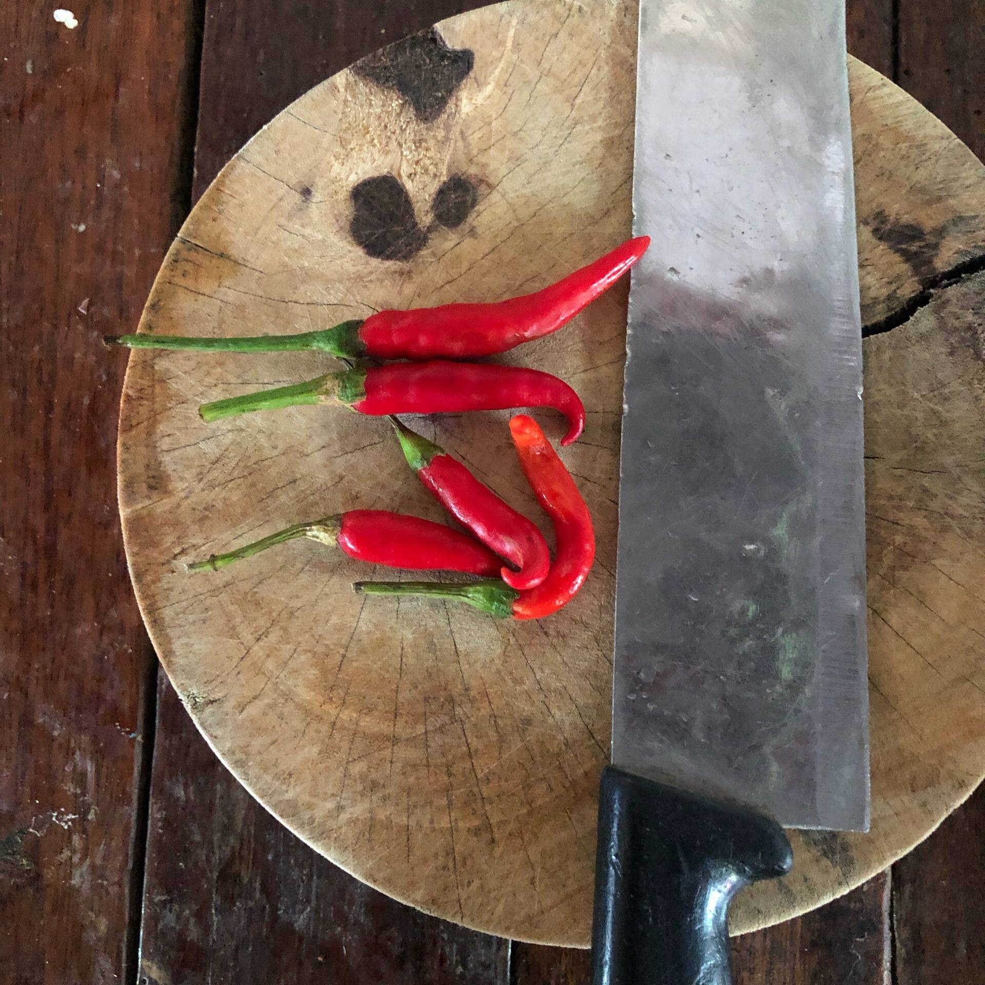 ไข่เจียวทอดพริก 