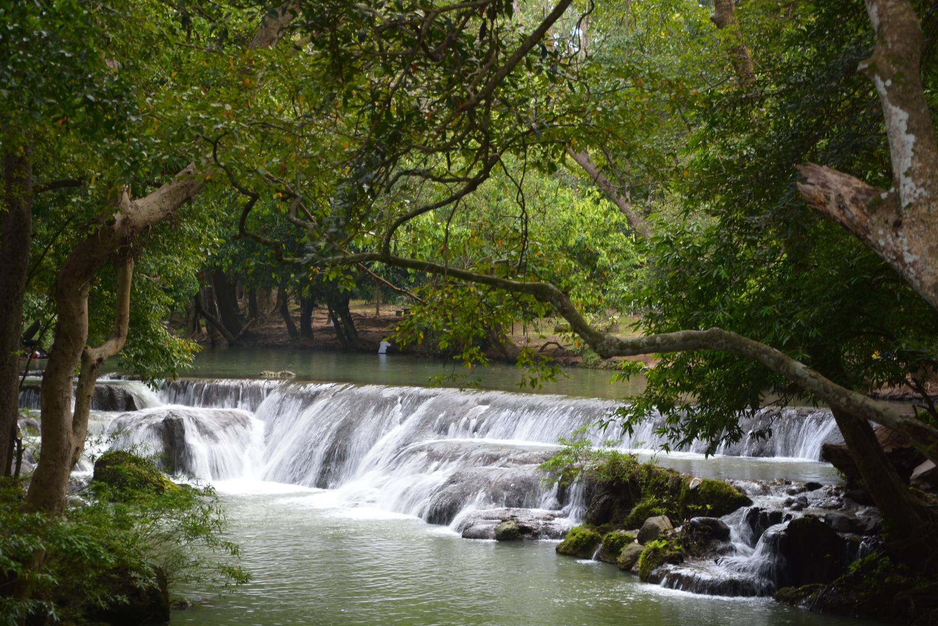 สวนรุกขชาติมวกเหล็ก