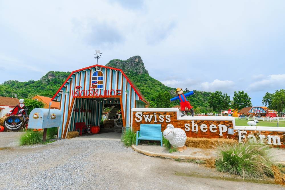 Swiss Sheep Farm