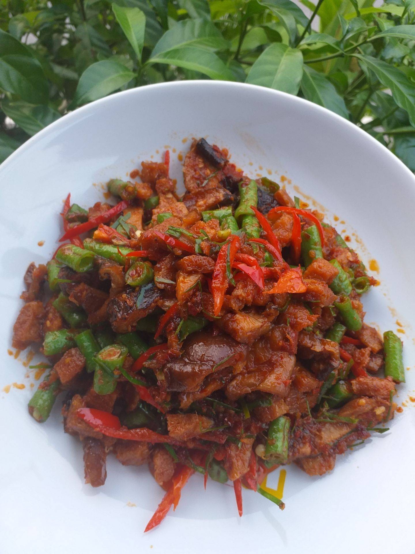 ถั่วฝักยาวผัดพริกแกงเจ