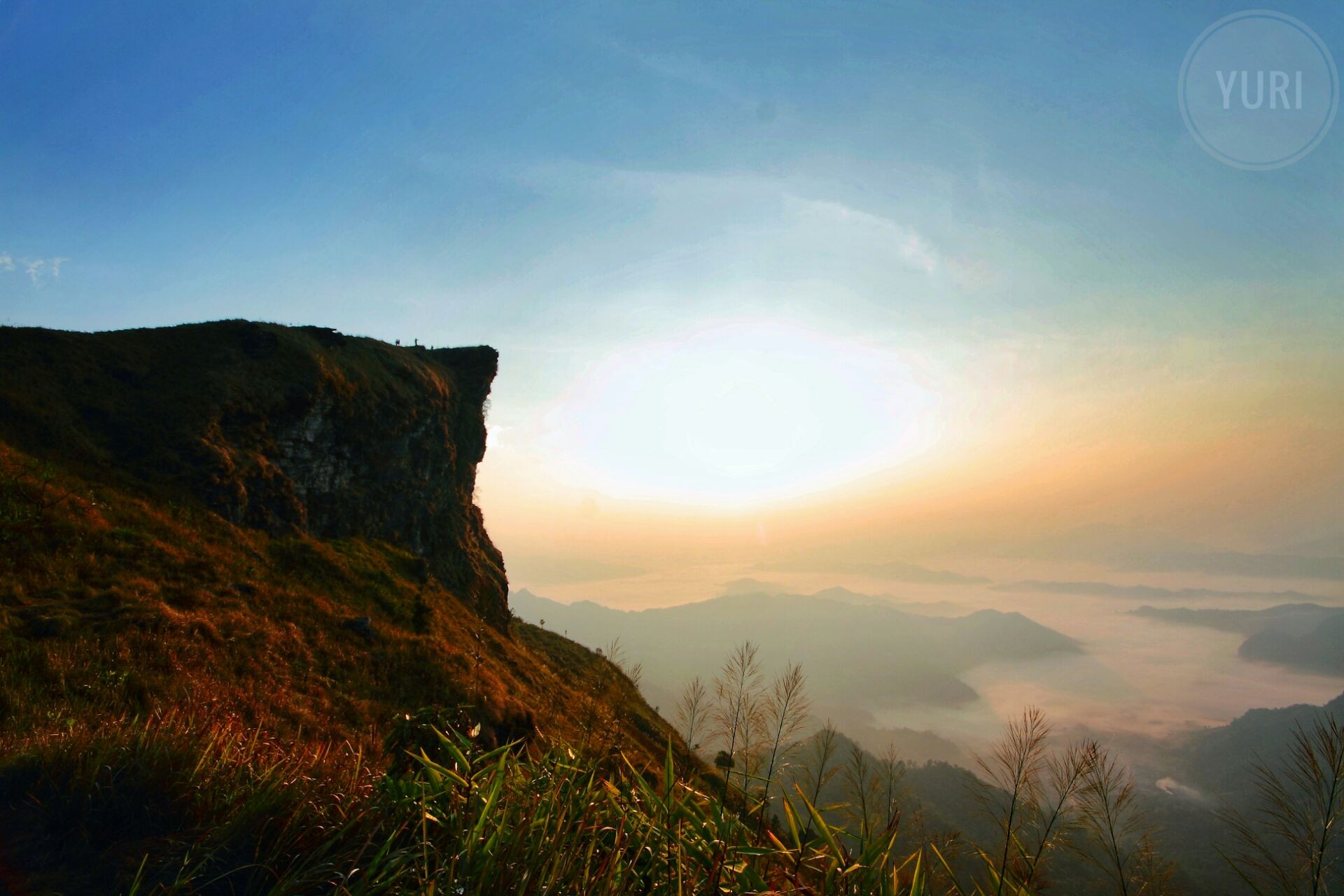 อุทยานแห่งชาติภูชี้ฟ้า