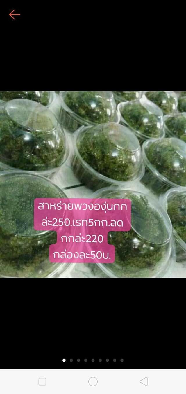 แซลม่อนซาซิมิ-สาหร่ายพวงองุ่น-ไข่หมึกทอด-เค้กฝอยทอง