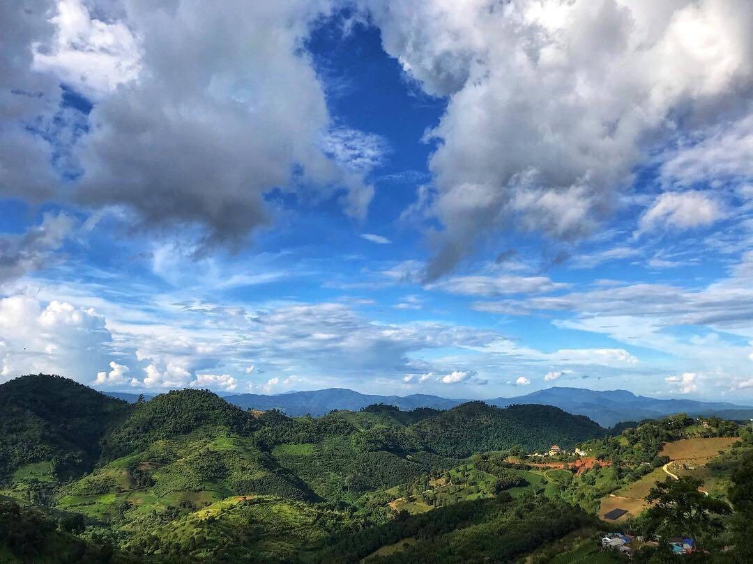 ดอยแม่สลอง