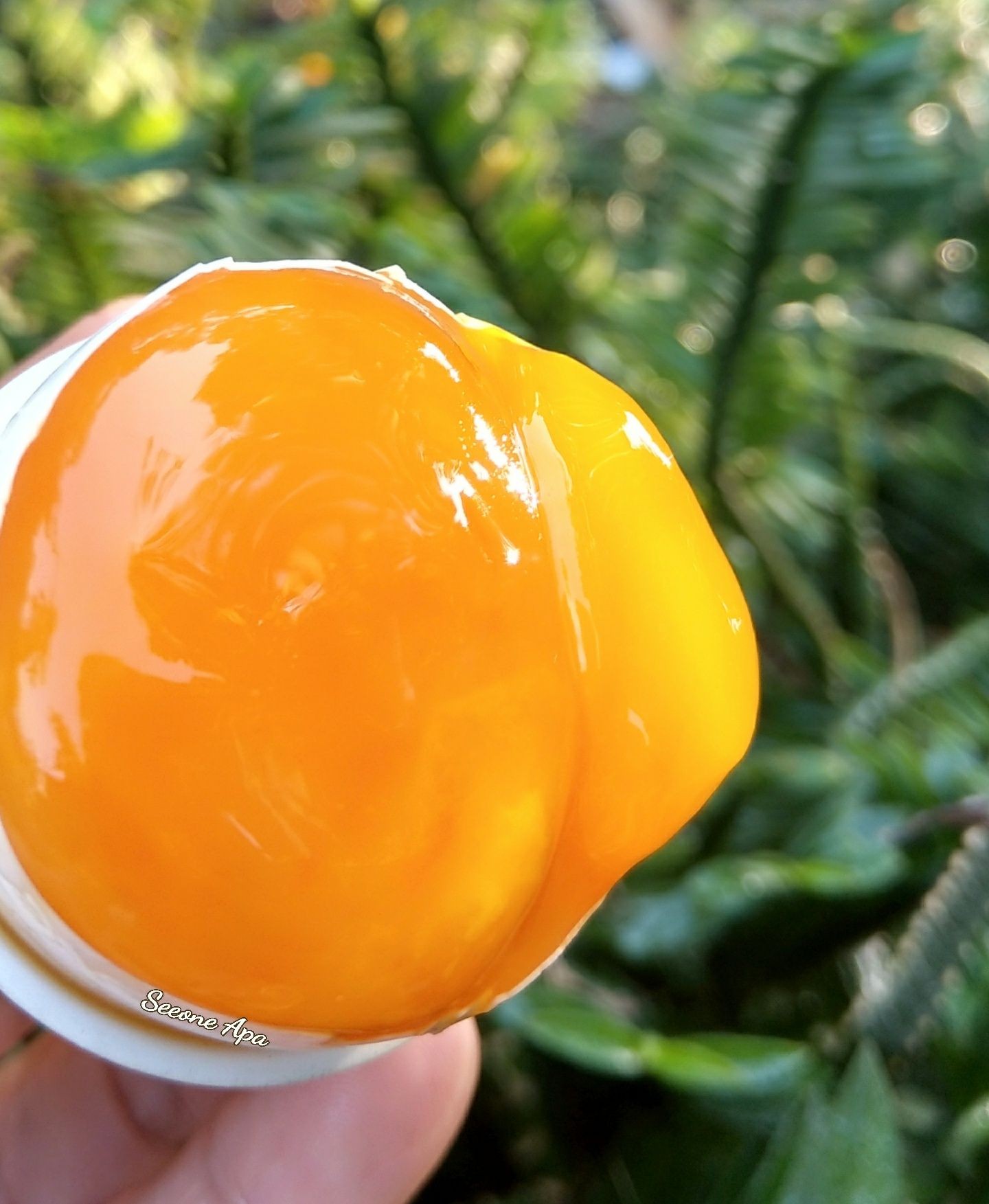 ไข่ดองน้ำปลาครอบ