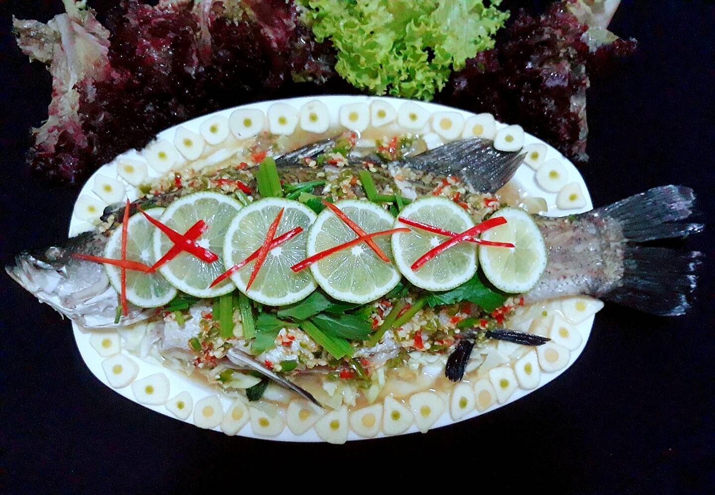 ปลากระพงนึ่งมะนาว Pla Neung Manao 