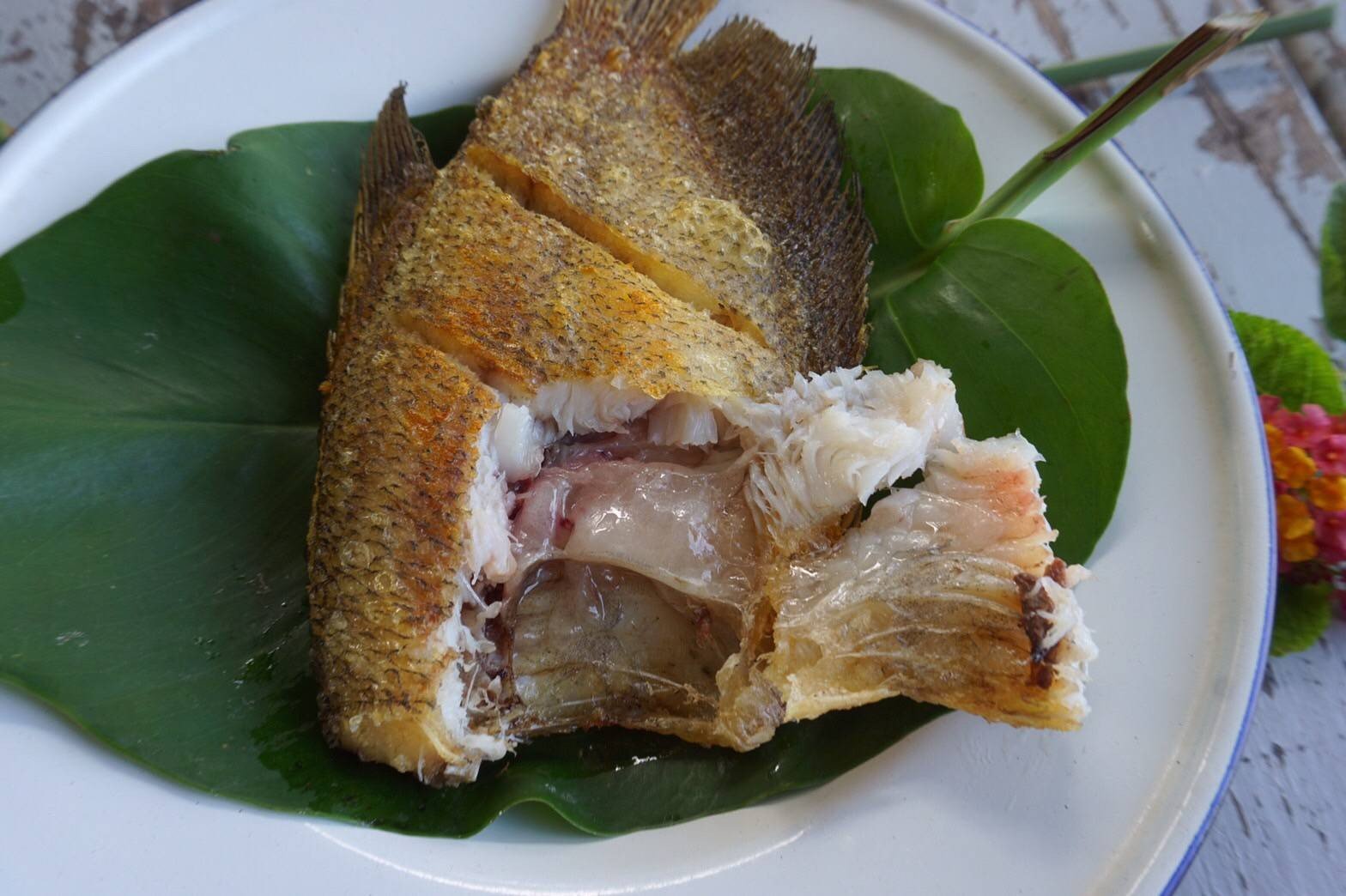 ปลาสลิดแดดเดียวทอด