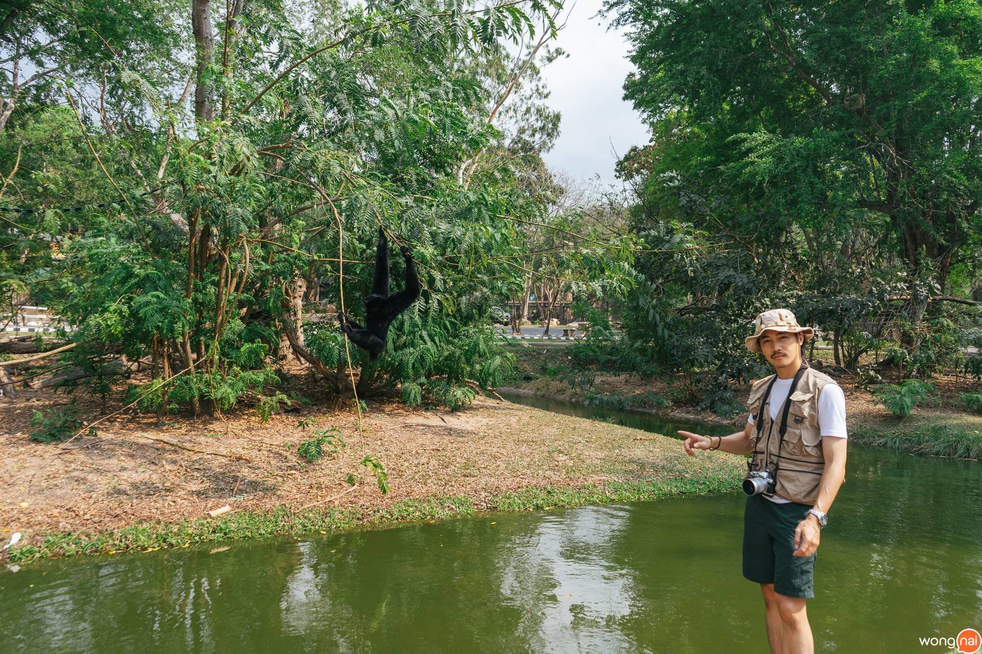 สวนสัตว์เปิดเขาเขียว (เขาเขียวไนท์ซาฟารี)