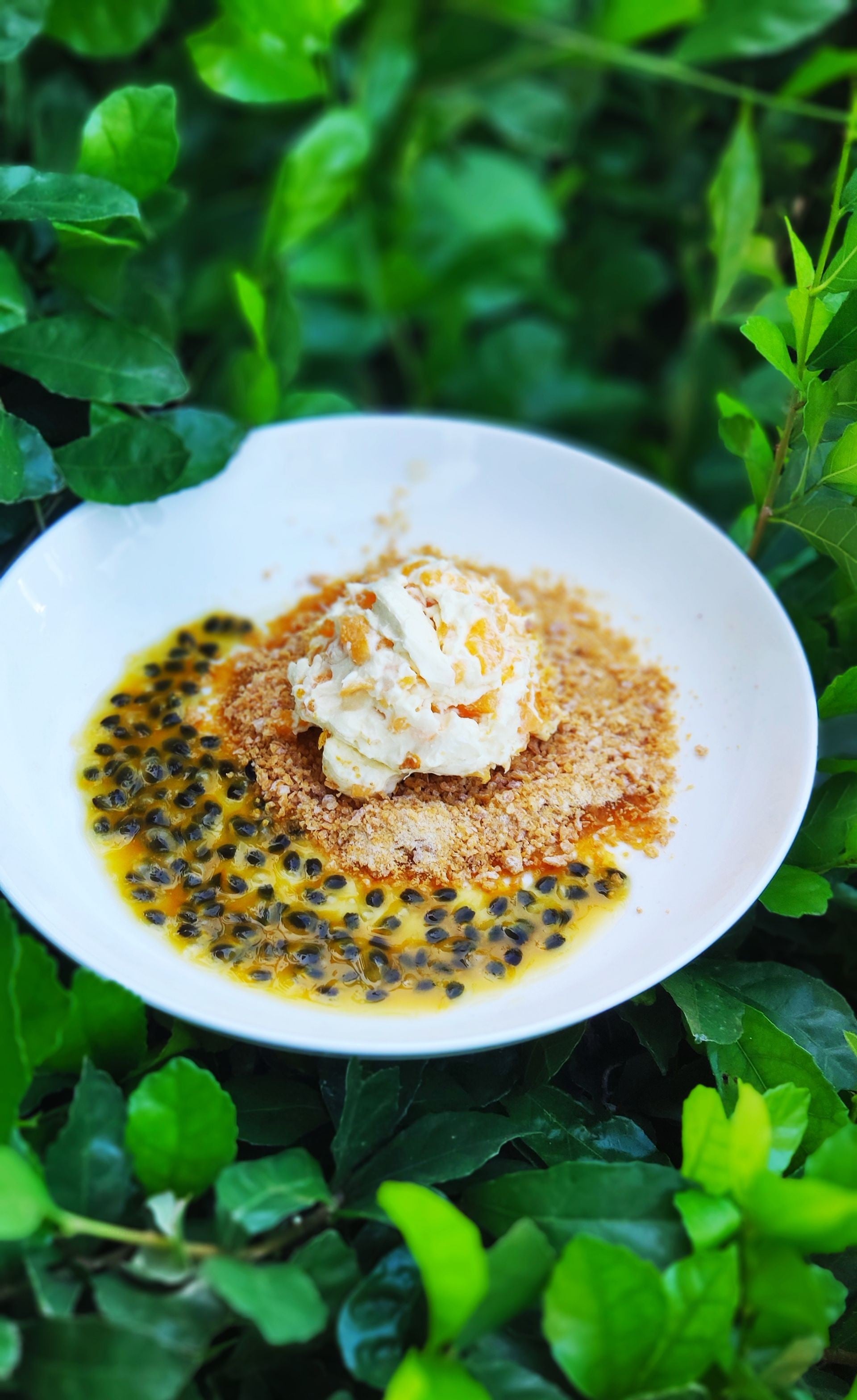 สหายมะยงชีส (Plango Passion Cheese Crumble)