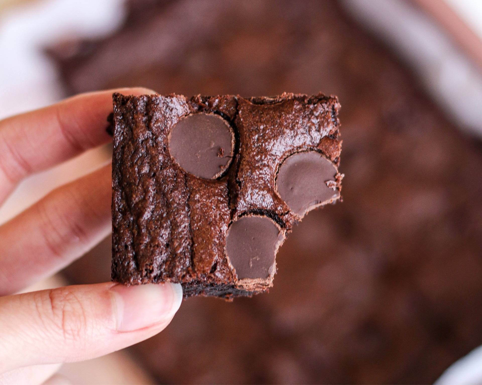 🍫 Fudgey Cocoa Brownies