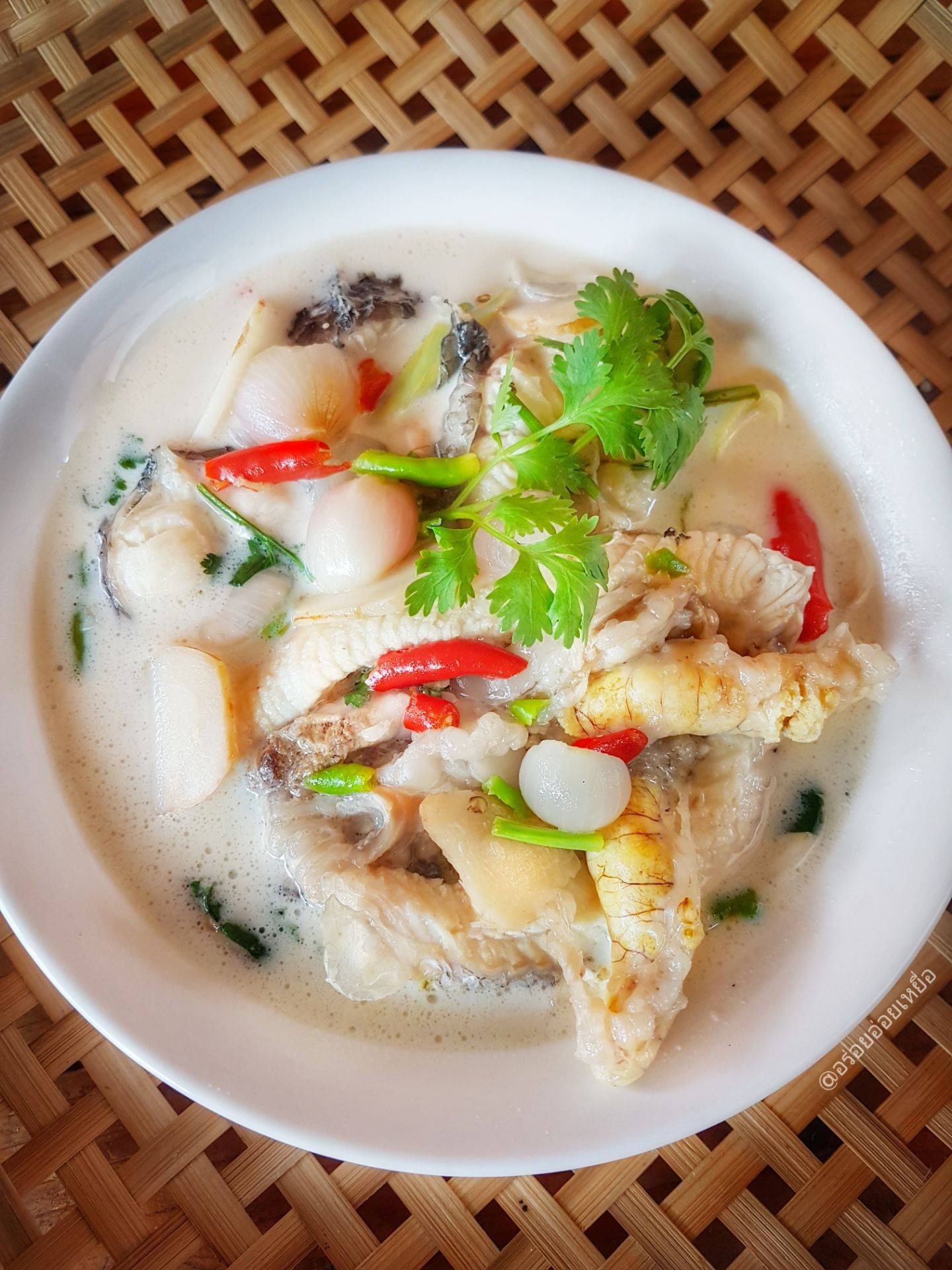 ต้มข่าปลาช่อน