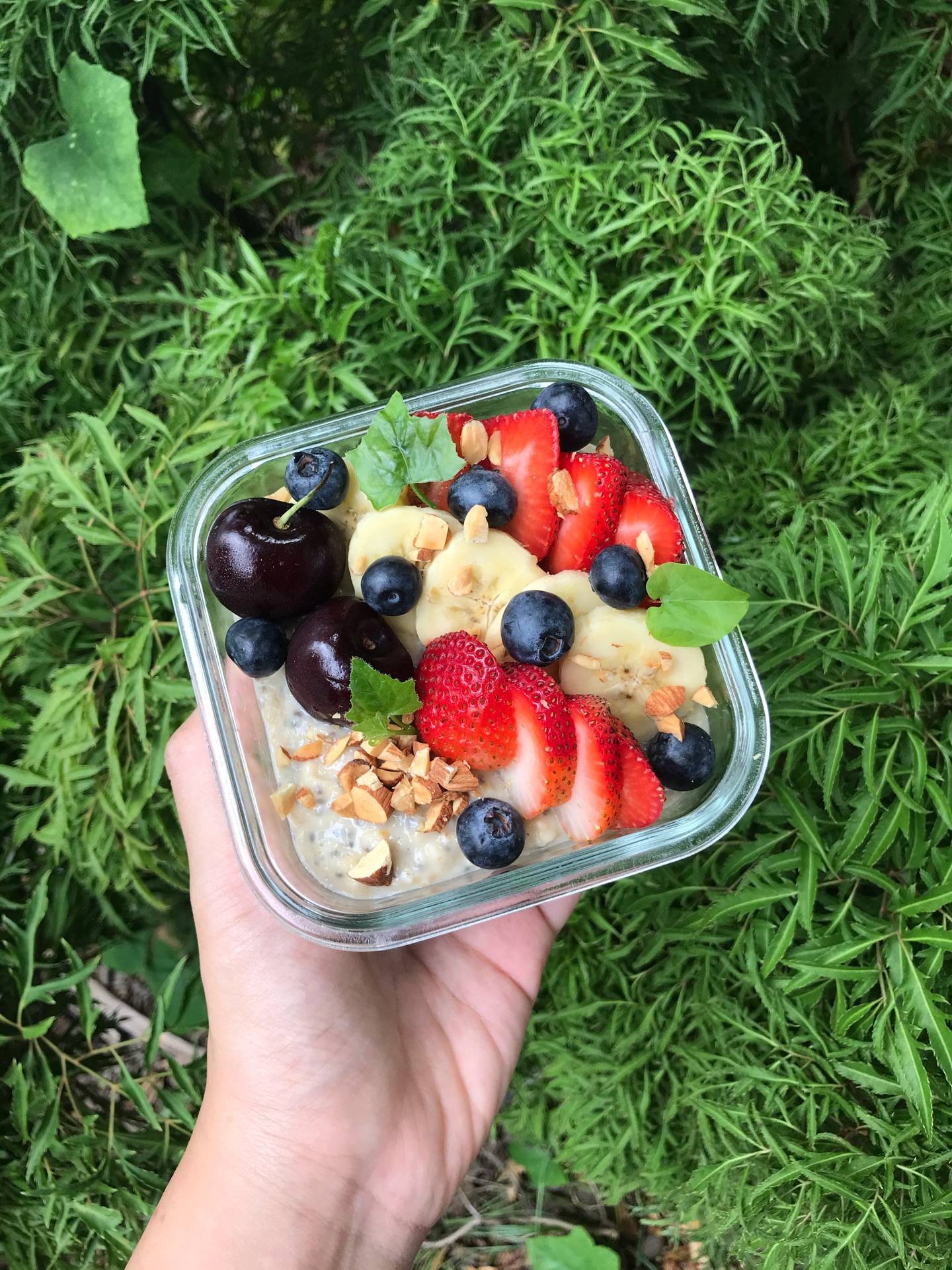 Milky Chia Overnight Oats