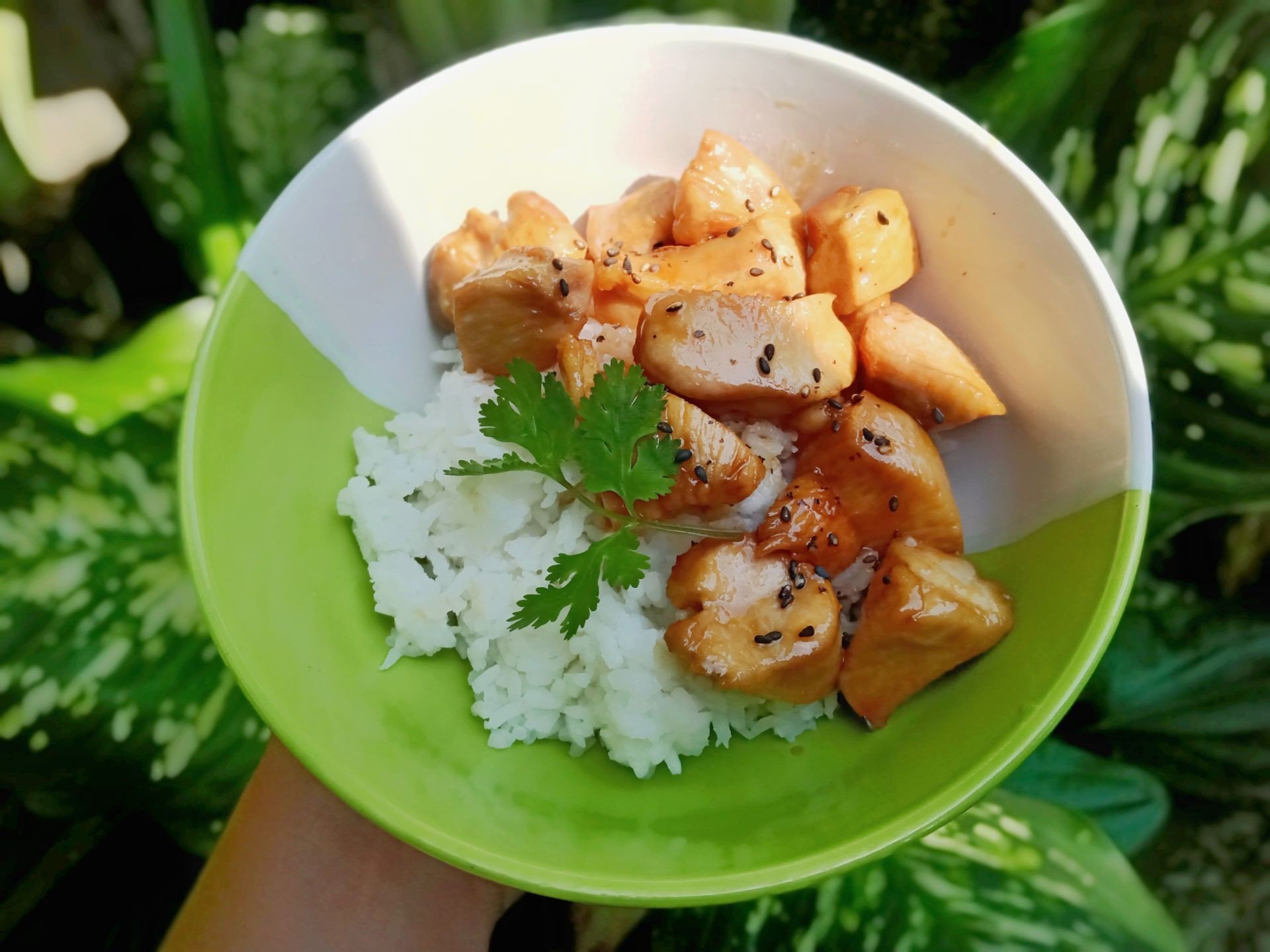 ข้าวไก่เทอริยากิ