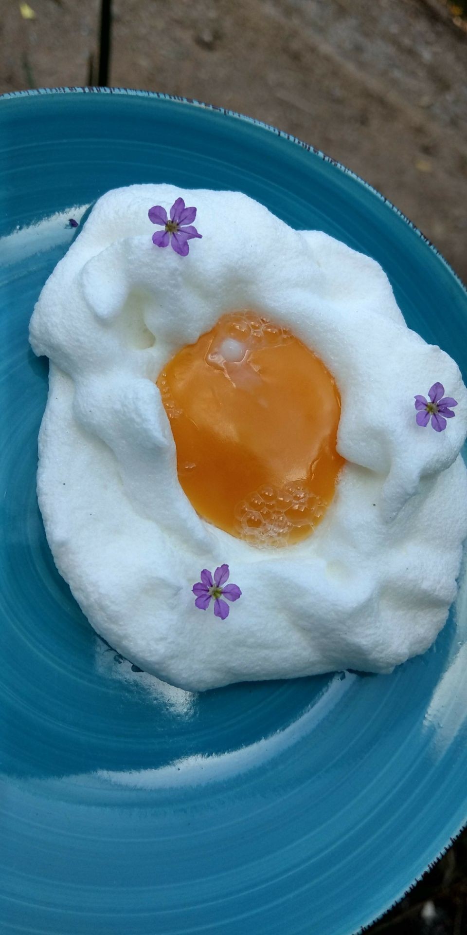 สวนดอกไม้ในก้อนเมฆ