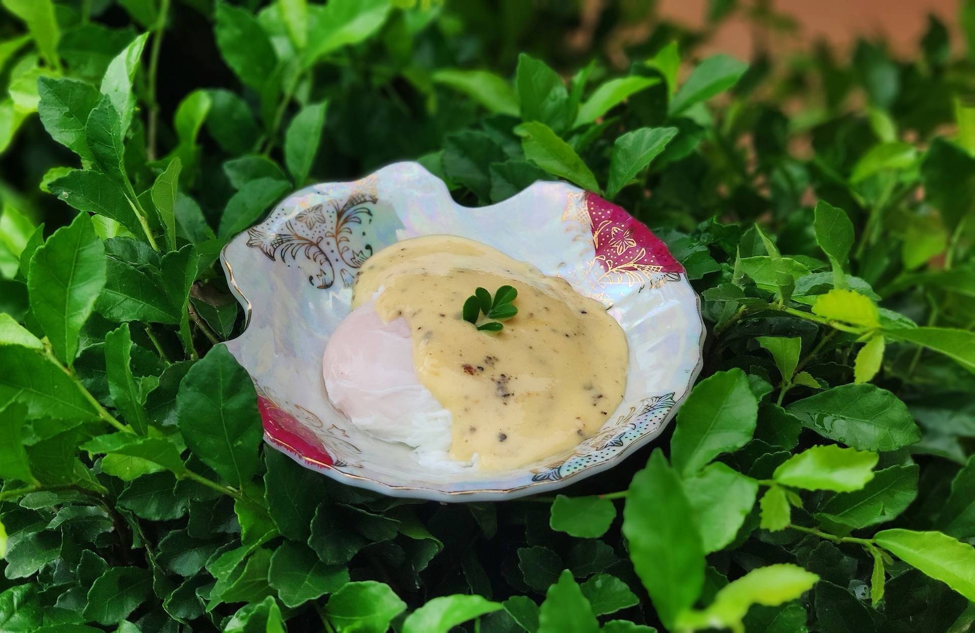 Hollandaise Sauce (Egg Benedict) ซอสฮอลลันเดส