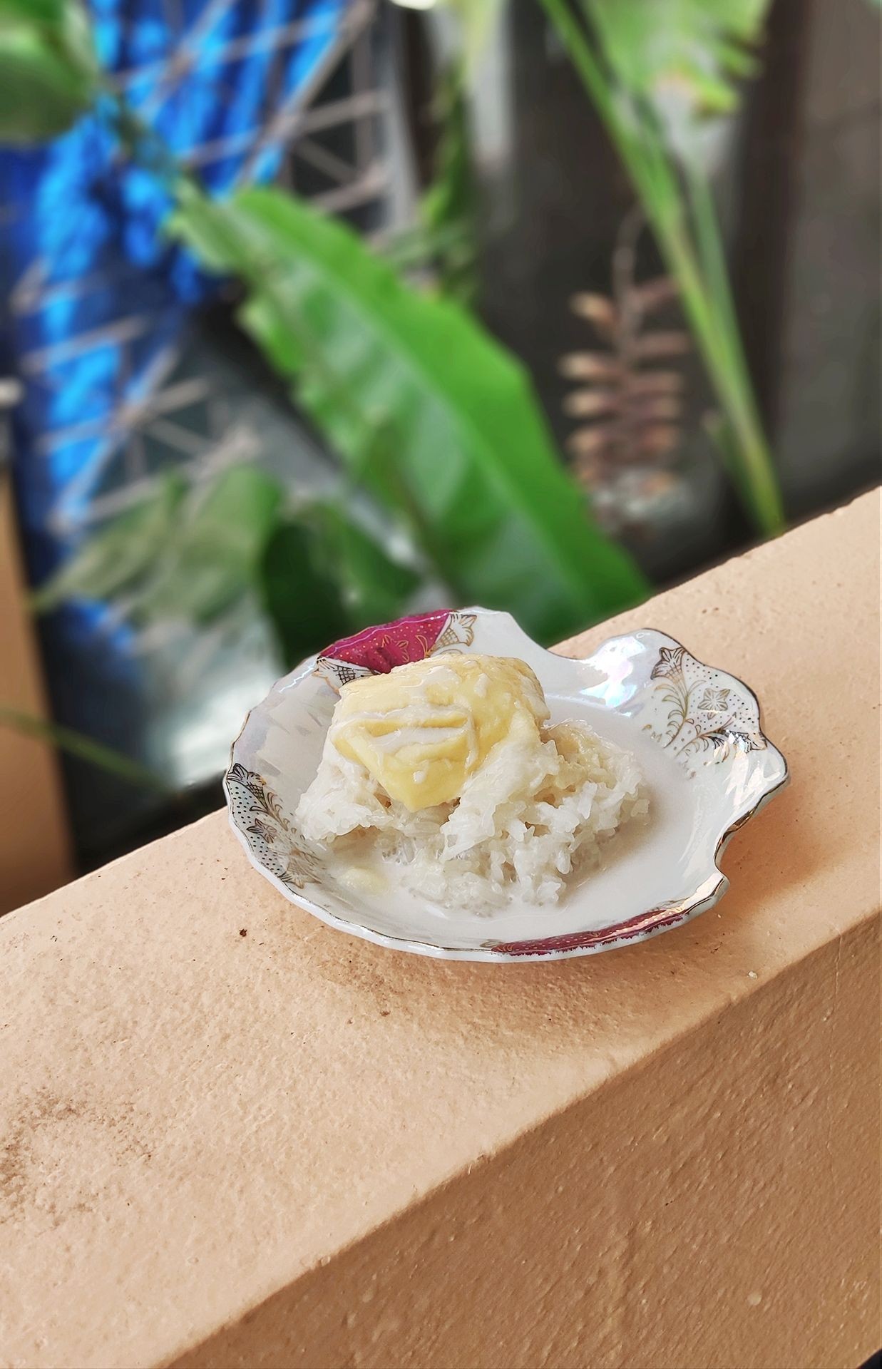 ข้าวเหนียวทุเรียน