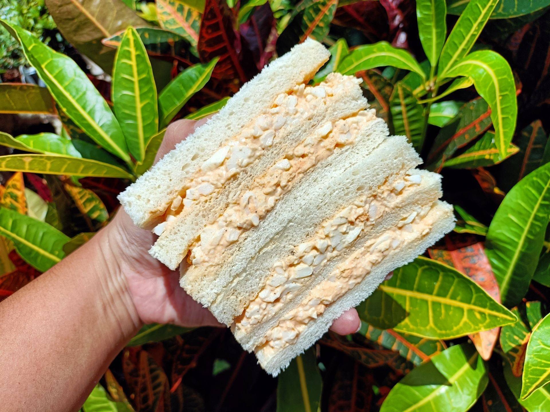 แซนวิชไข่ต้ม