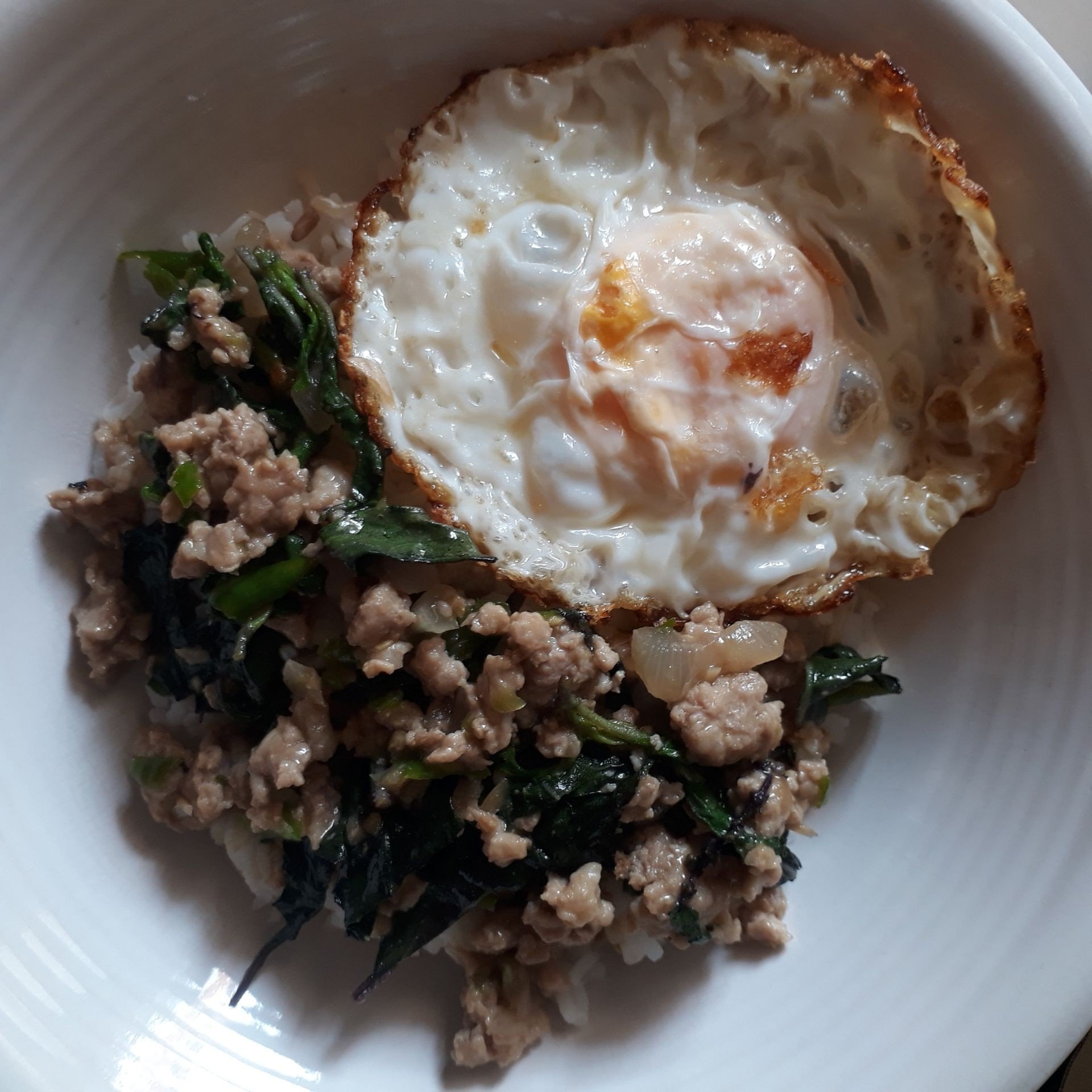 ผัดกระเพราหมูสับ 🍳🥘🐷