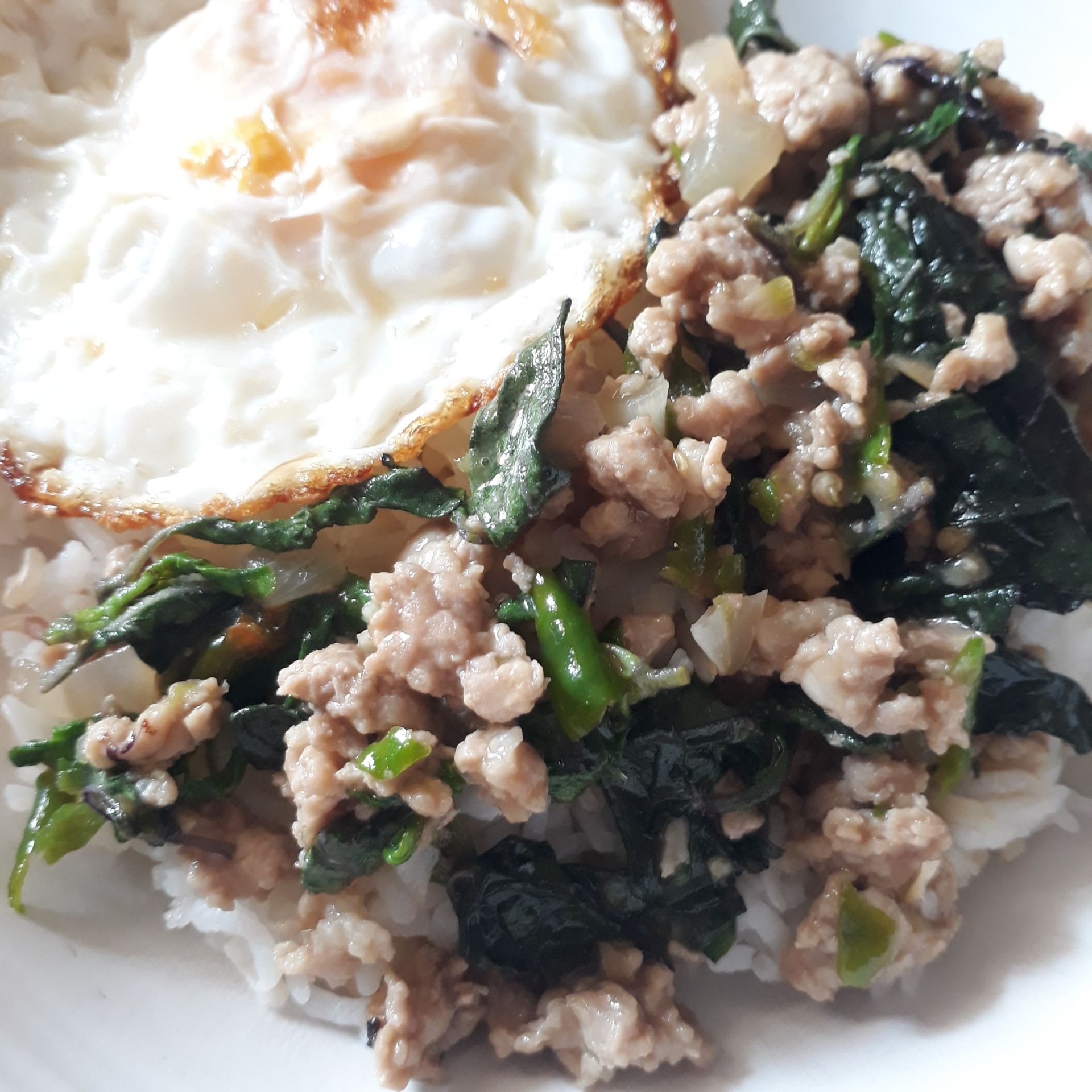 ผัดกระเพราหมูสับ 🍳🥘🐷