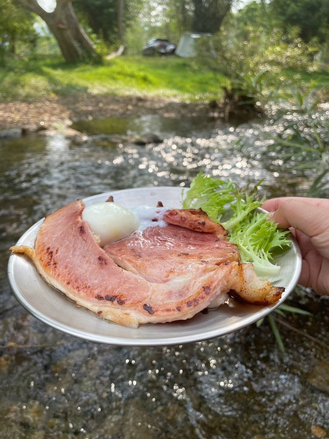 แฮมสเต็ก