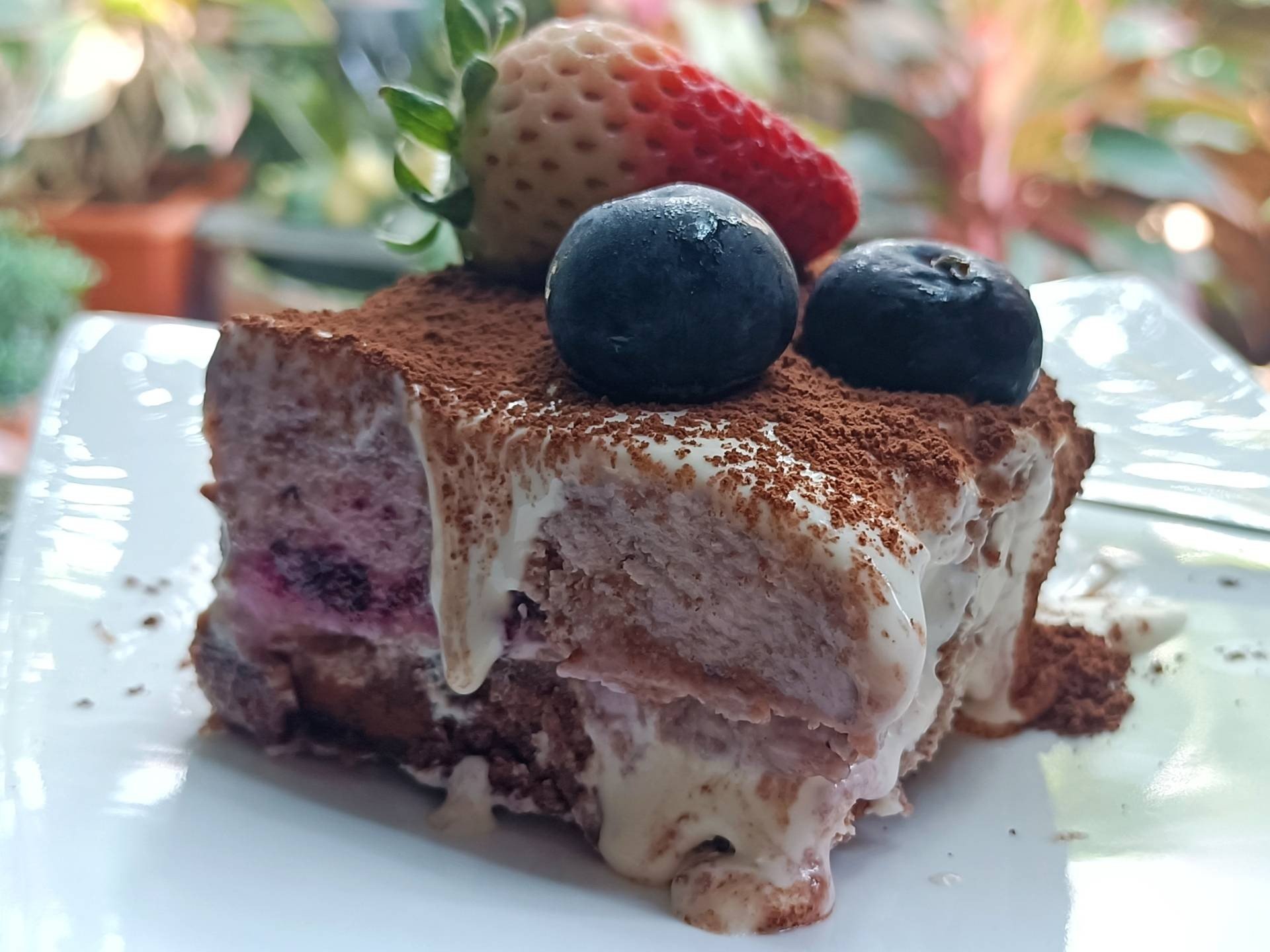 Chocolate Berry Cake