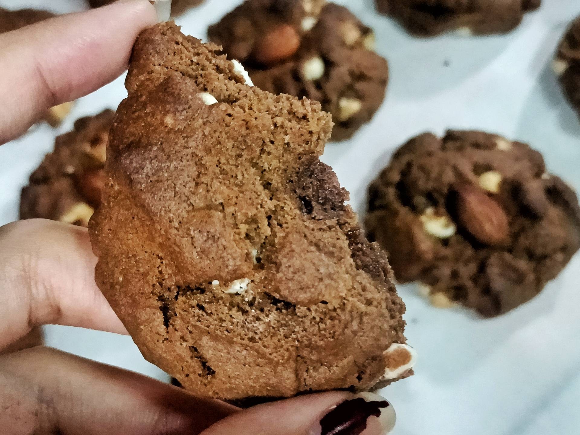 ช็อกโกแลตคุกกี้ ,, Chocolate Cookies 