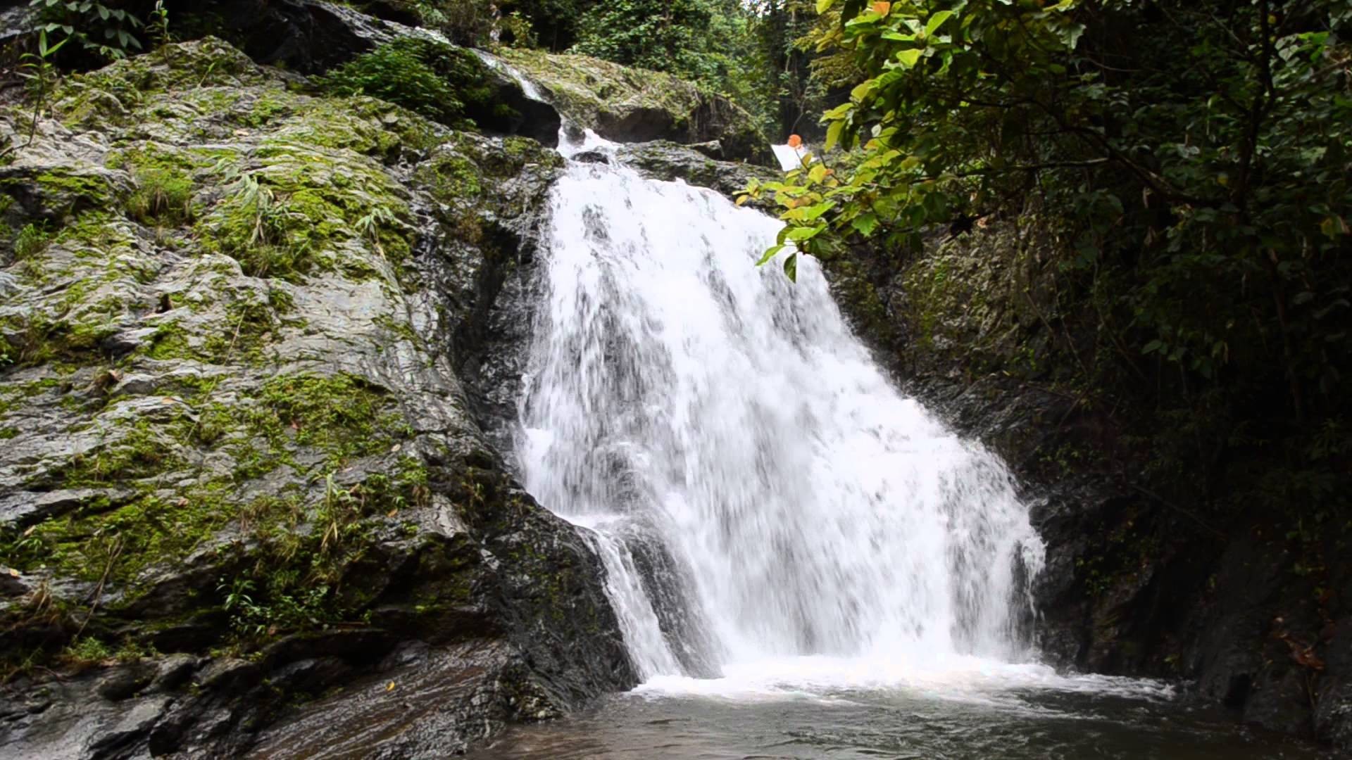 อุทยานแห่งชาติตาดหมอก